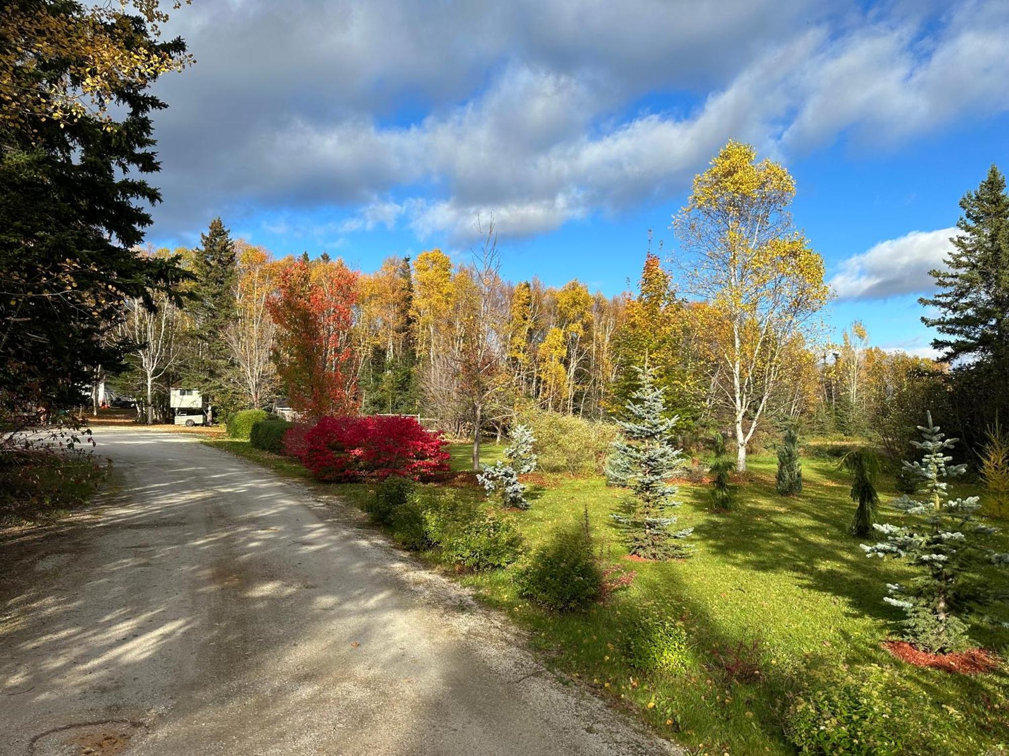 Eden Estate B&B Reidville 외부 사진